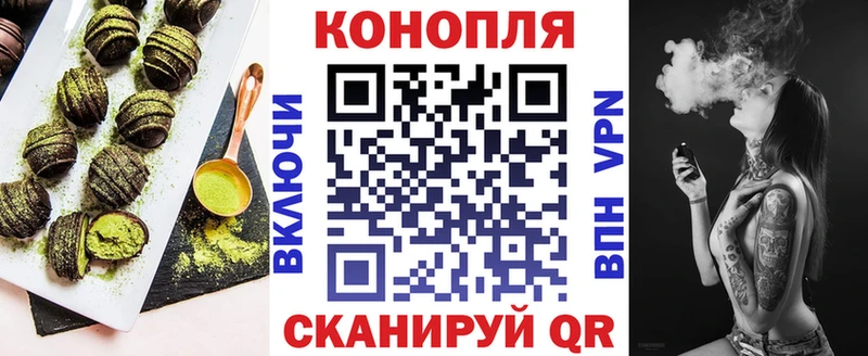 блэк спрут   Кирсанов  Cannafood конопля 