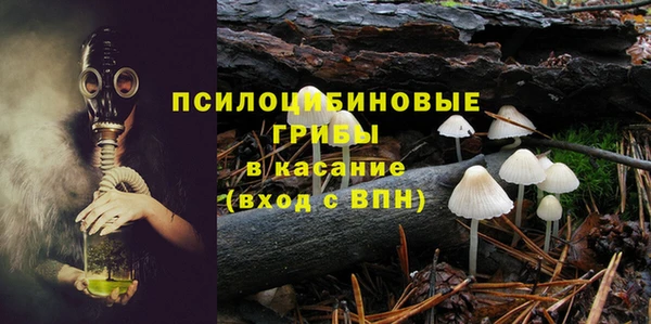 шишки Алексеевка