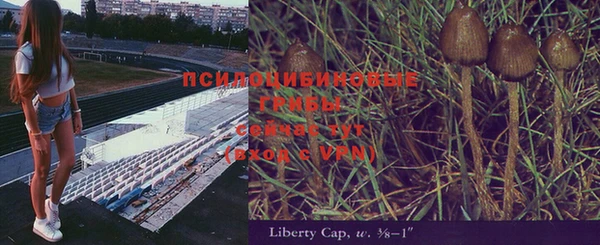 герыч Алексин